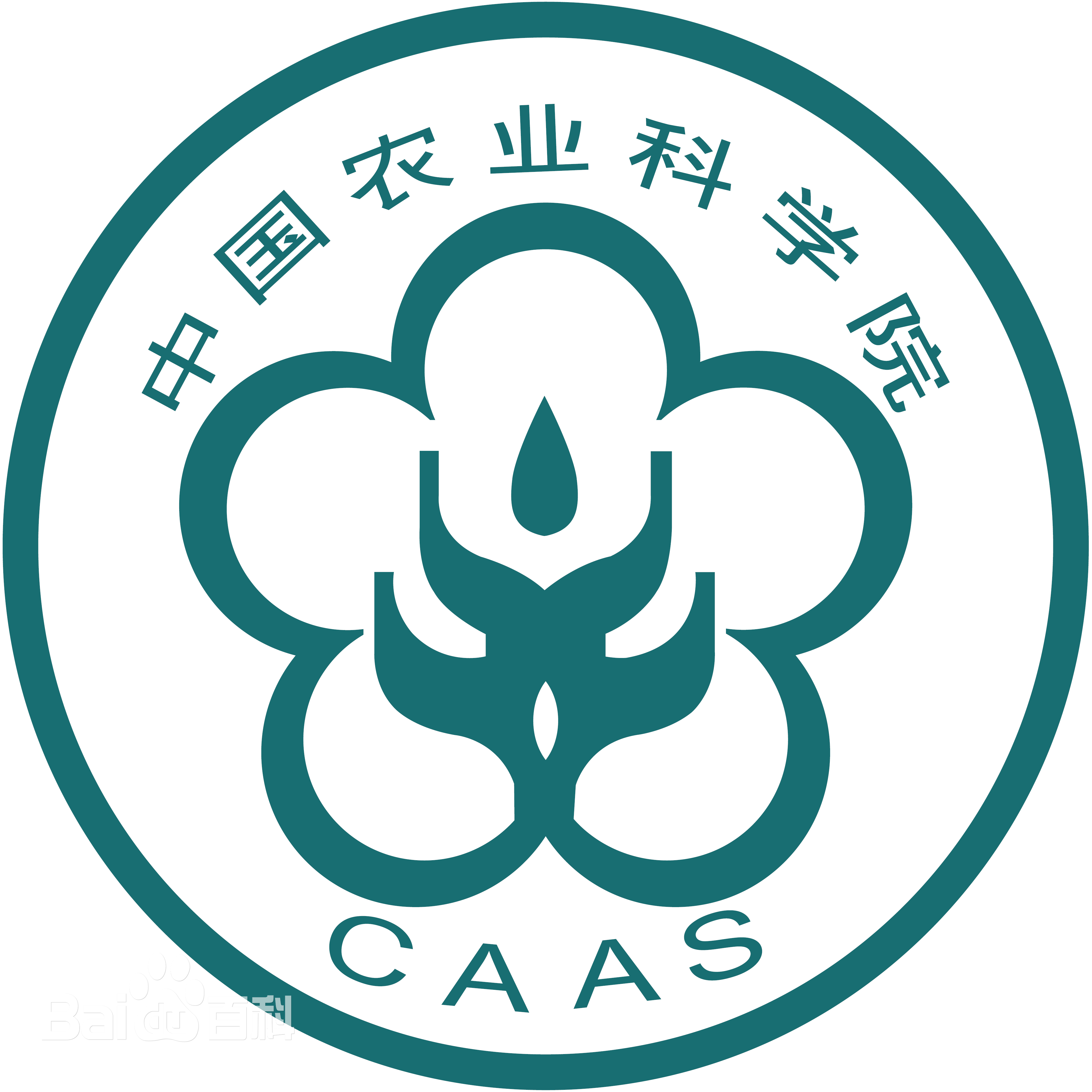 中国农科院