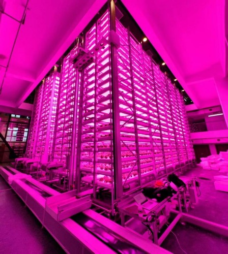 泰达仪人工气候室--全球首座超高层无人化植物工厂正式投入运行 泰达仪人工气候室--全球首座超高层无人化植物工厂正式投入运行