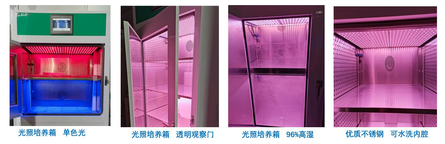 泰达仪植物补光灯（4）—泰达仪植物补光灯的优点